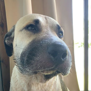 Meet your Posher, Kyla